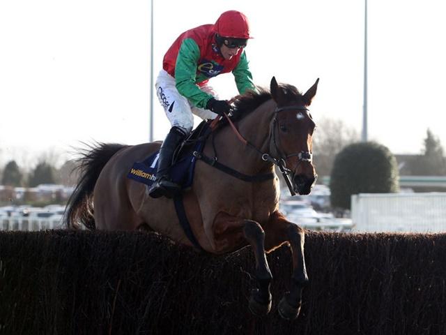 Paul reveals that Dodging Bullets is on course to defend his Champion Chase crown